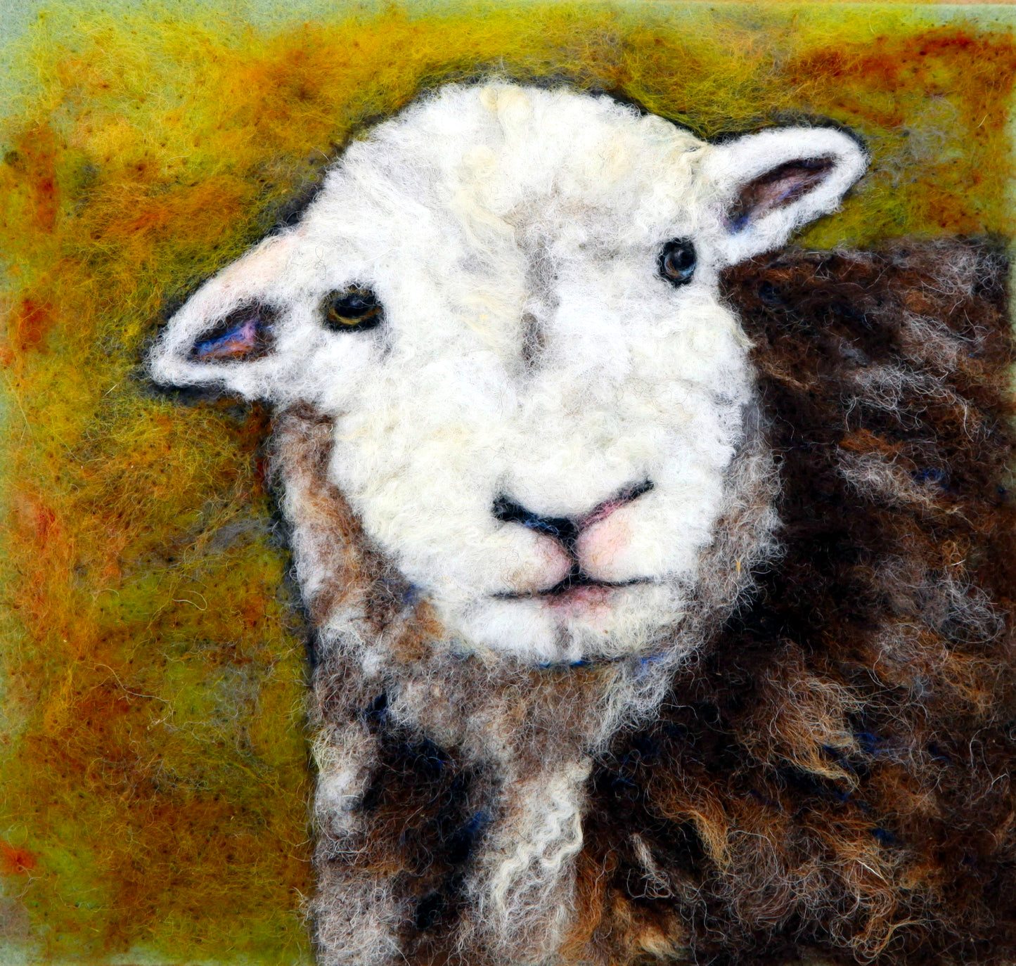 Clementine - A Herdwick portait