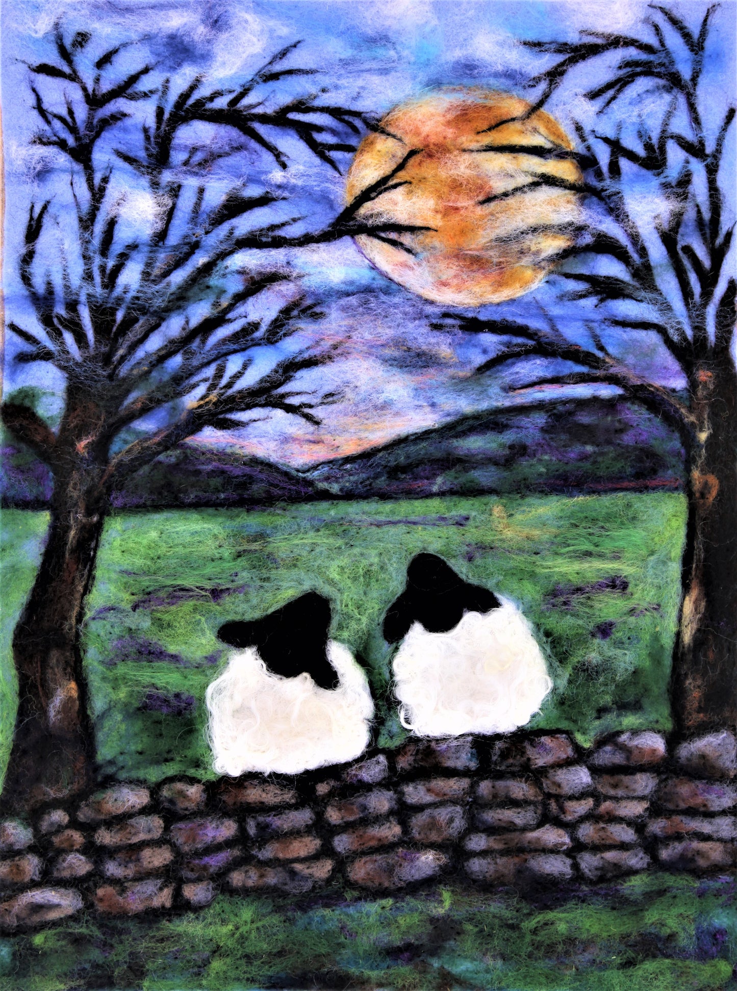 Moon Gazing