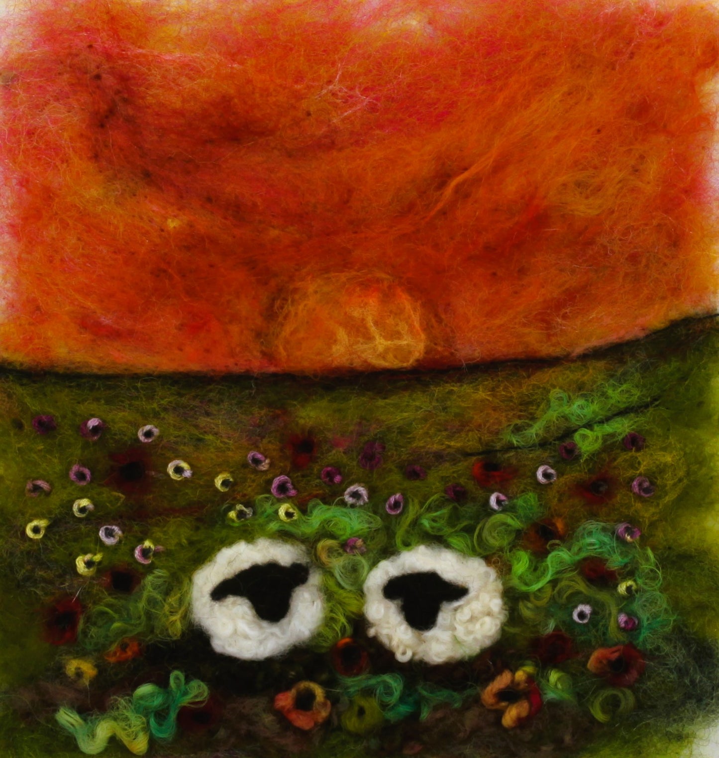 Ewes in Sunset