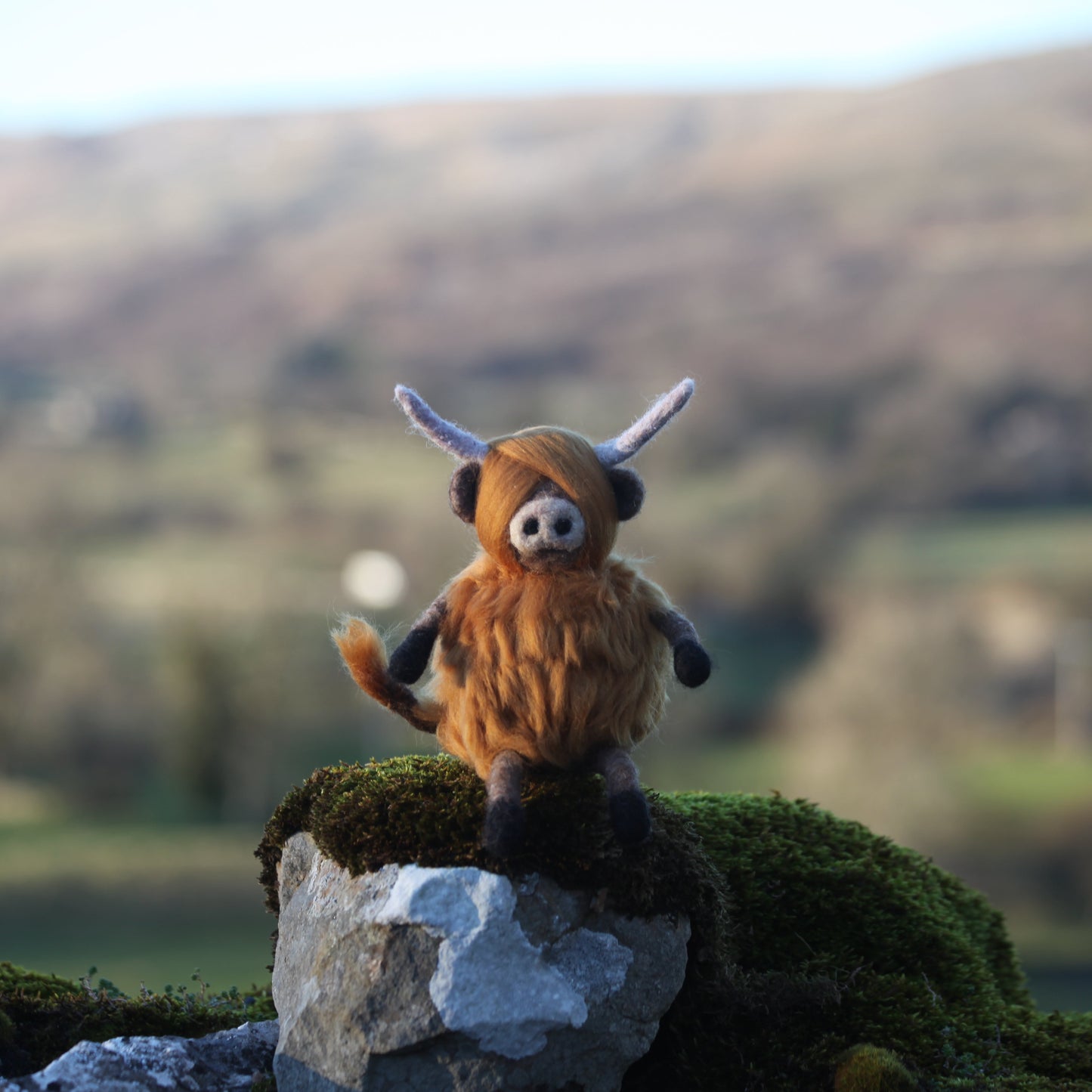 Private - Needle Felting Course