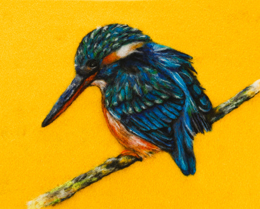 Kingfisher