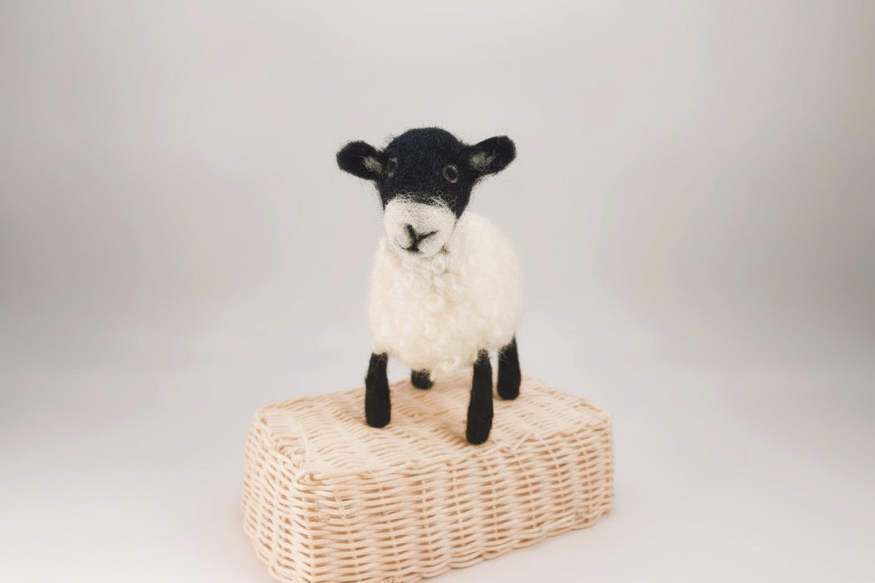 Wensleydale Sheep - Needle felt Kit