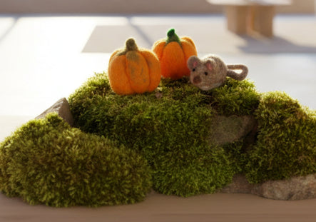Halloween Pumpkin - Needle Felting Workshop