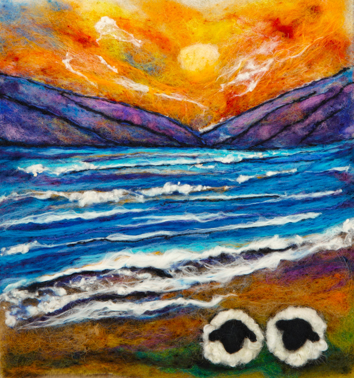 Shell Seekers