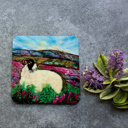 Sherbert Eco coaster