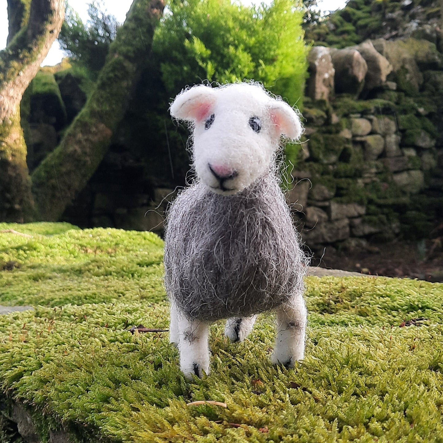 Herdwick Sheep - Needle Felting Kit