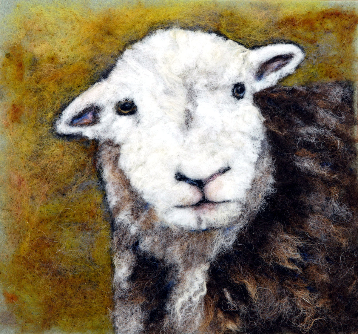 Clementine - A Herdwick Portait