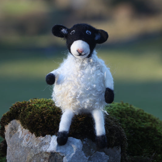 Clover the Wensleydale Sheep - A spring felting workshop with lunch on 29th March 2025