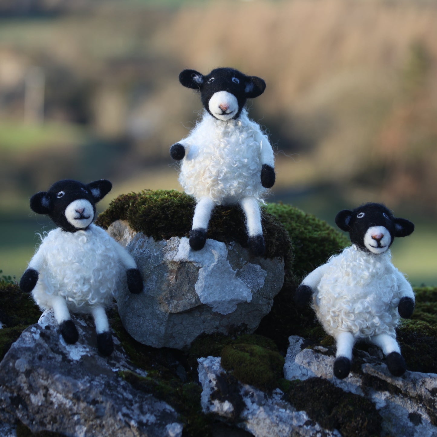 Clover the Wensleydale Sheep - A spring felting workshop with lunch on 29th March 2025