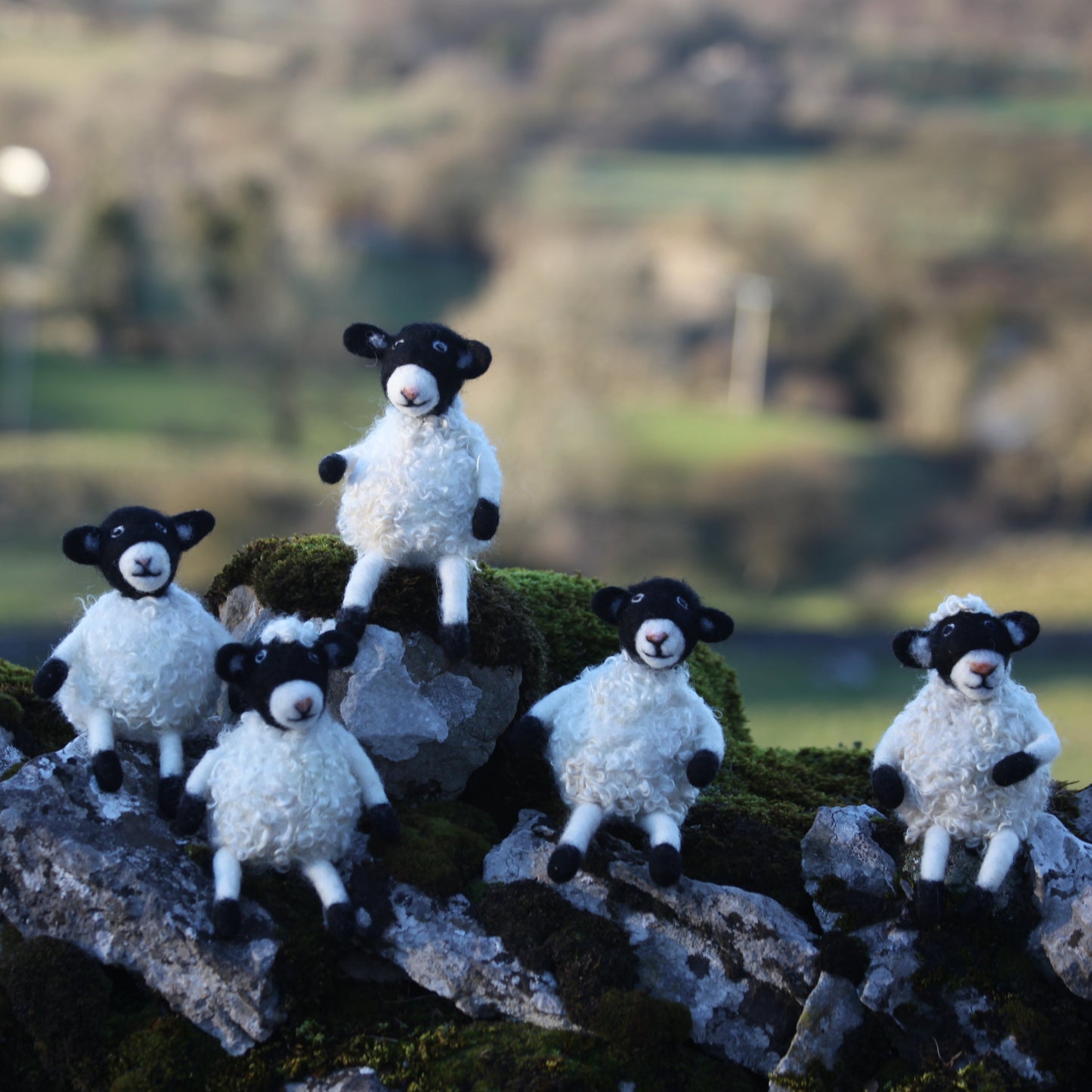 Clover the Wensleydale Sheep - A spring felting workshop with lunch on 29th March 2025