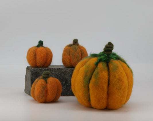Halloween Pumpkin - Needle Felting Workshop