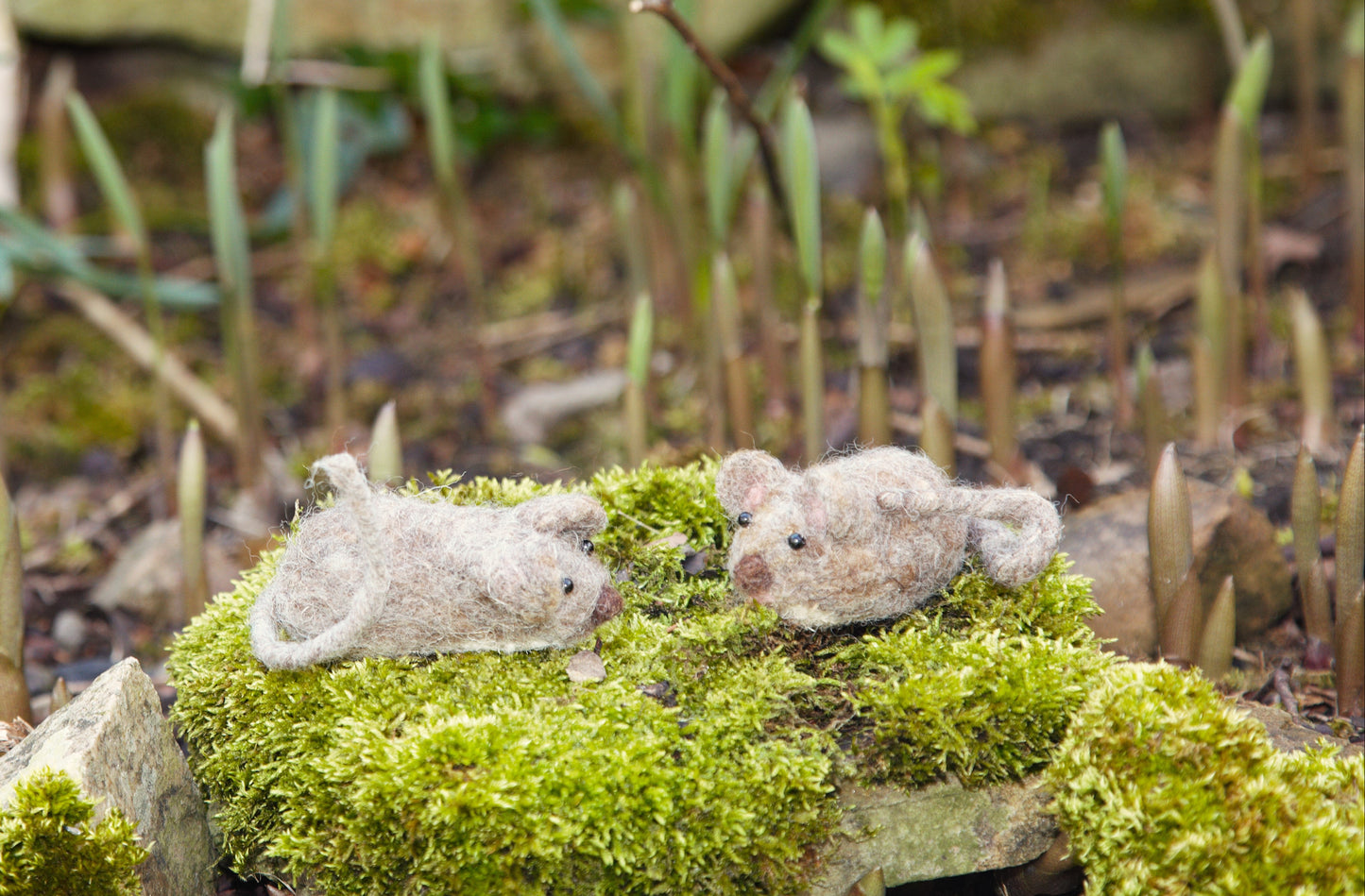 Halloween Mouse - Needle Felting Workshop