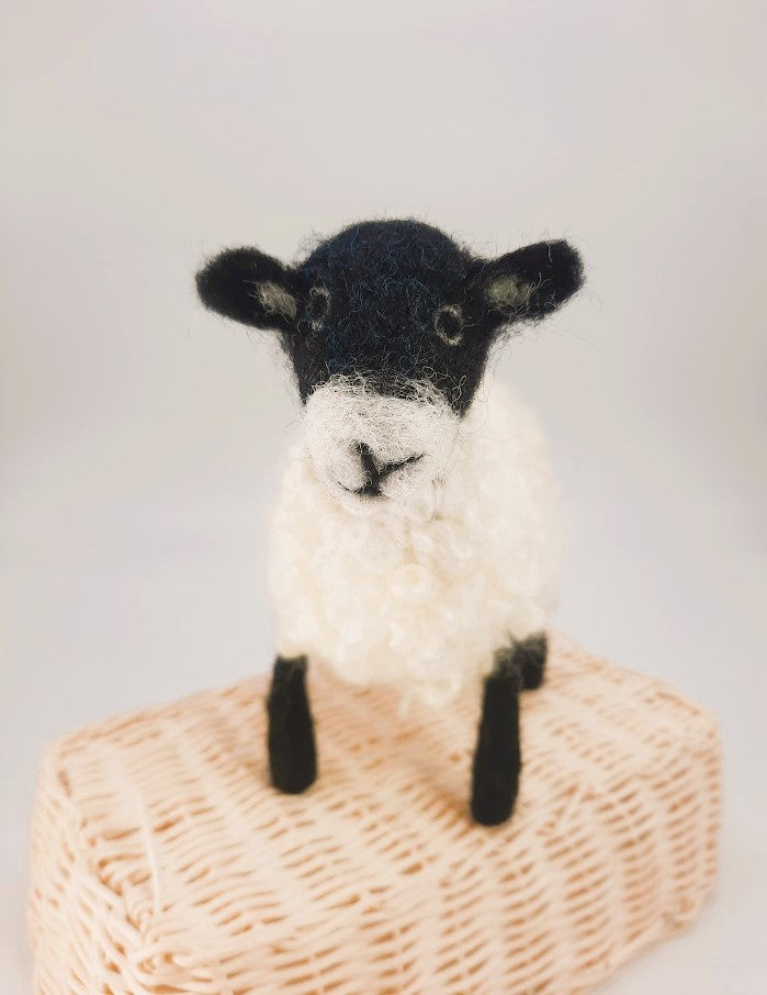 Wensleydale Sheep - Needle felt Kit