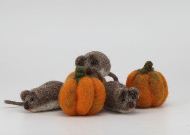 Halloween Pumpkin - Needle Felting Workshop