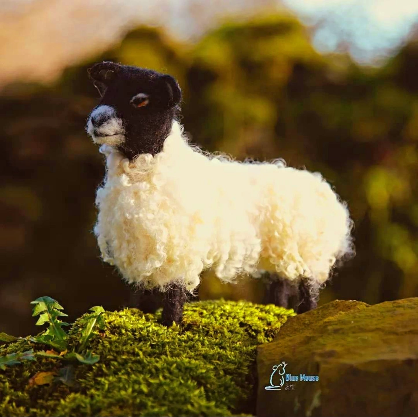 Wensleydale Sheep - Needle felt Kit