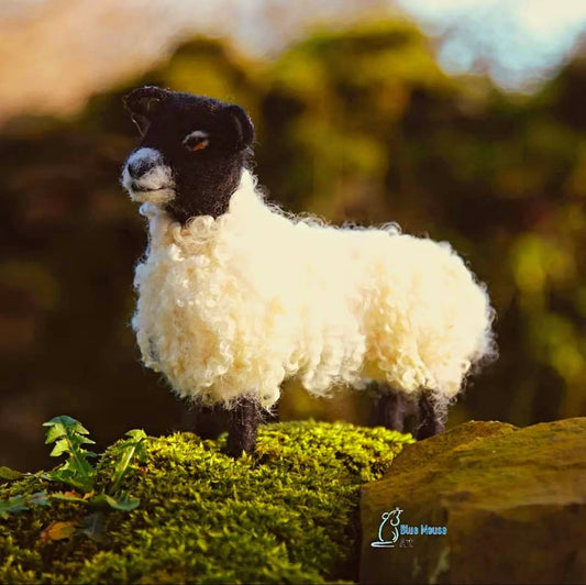 Wensleydale Sheep - Needle felt Kit