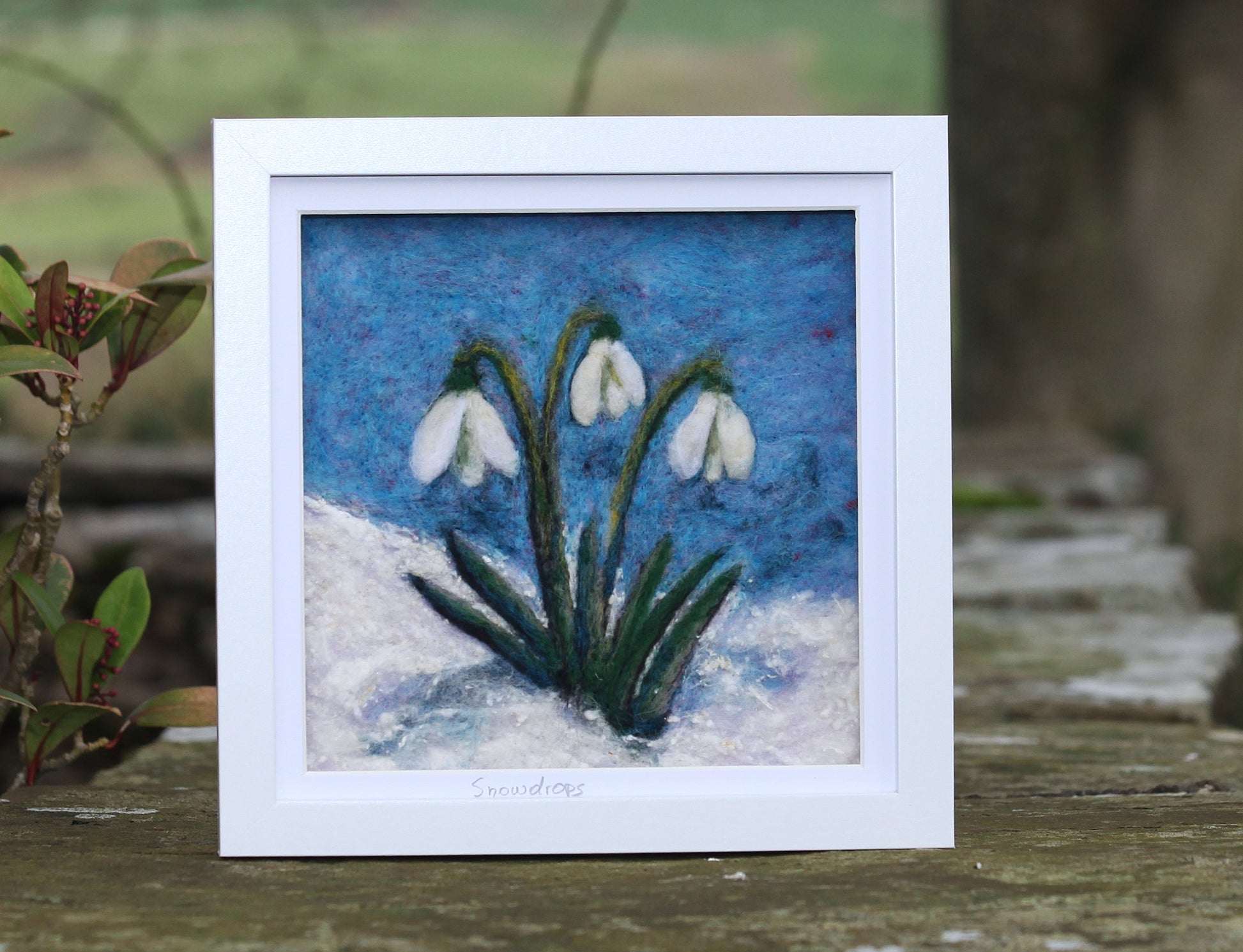 Snowdrops feltedsnowdrops feltpicture