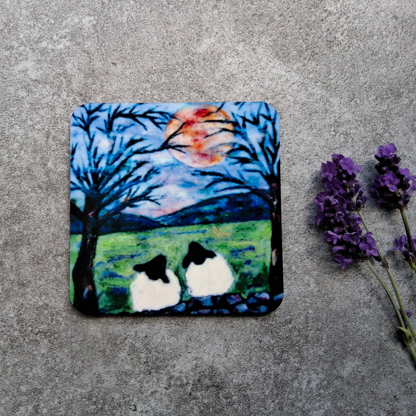 Moon Gazing Sheep - Eco Coaster