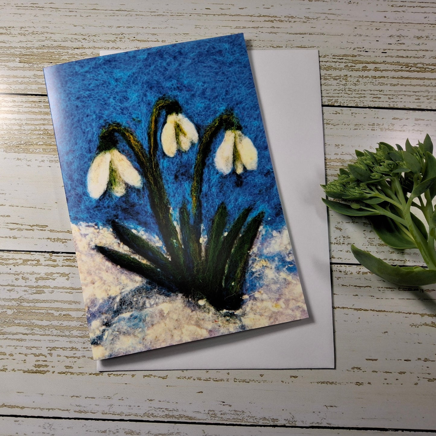 Snowdrops
